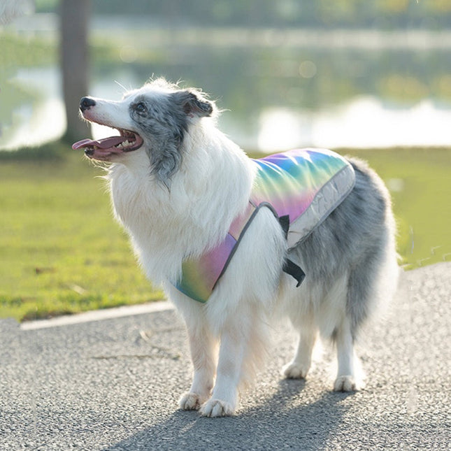 Verkoelend Hondenvest | Verstelbaar & Reflecterend | Hond Hittebescherming | Comfortabel Ademend Mesh | Harnasvriendelijk | Blauw & Regenboog | S-XXL