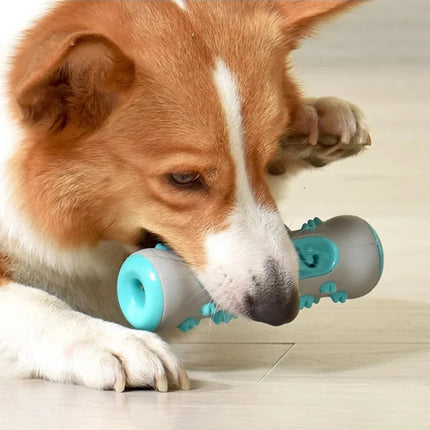 Interactieve Traktatie Speelrol Hond | Duurzaam Rubber | Verrijkend Speelgoed Tegen Verveling | Tandenreinigend | 20 cm | Geschikt voor Alle Rassen