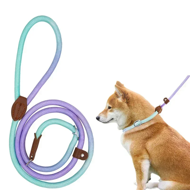 Kluwenvrije Nylon Hondenlijn | Ergonomische Grip | Duurzame Constructie | Geschikt voor Korte en Lange Wandelingen | Verkrijgbaar in Paars, Roze, Geel | Maten: S, M, L, XL | Modern Ontwerp