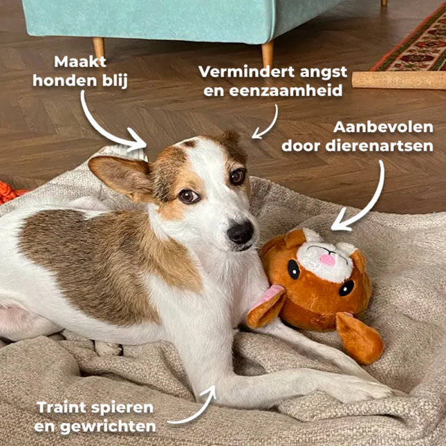 BouncyBalls | Interactief Vermaak voor Honden | Vermindert Stress en Houdt je Hond Actief