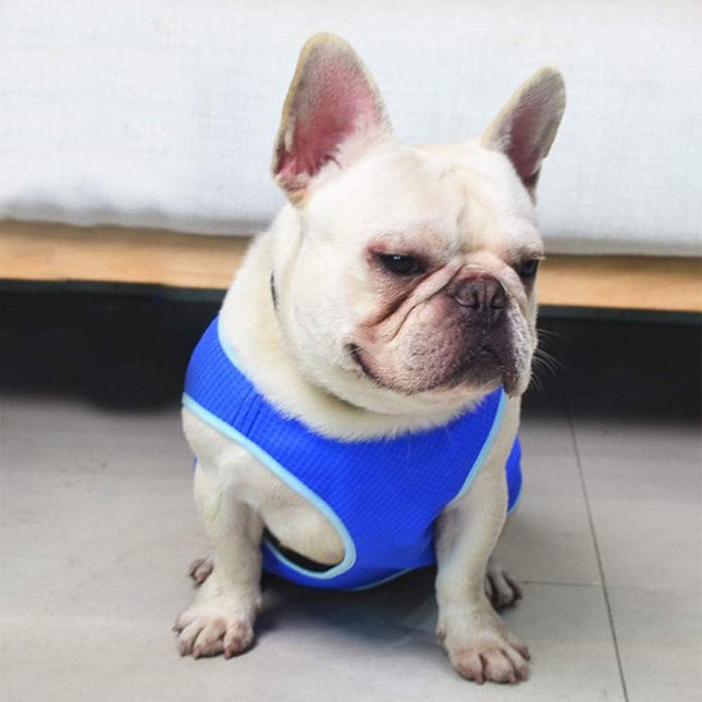 Hondenkoelvest | Drie-Laags Microvezel | Verstelbaar Design | Lichtgewicht Comfort | Diverse Maten XS-L | Blauw | Zomerse Verkoeling en Bescherming | Ideaal voor Actieve Buitendagen