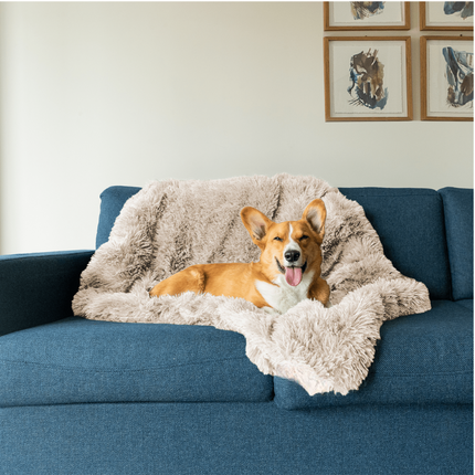 Buddy | Luxe Zachte Honden Deken | Slaapverbeteraar | Chemicaliënvrij | Veelzijdige Huisdecoratie