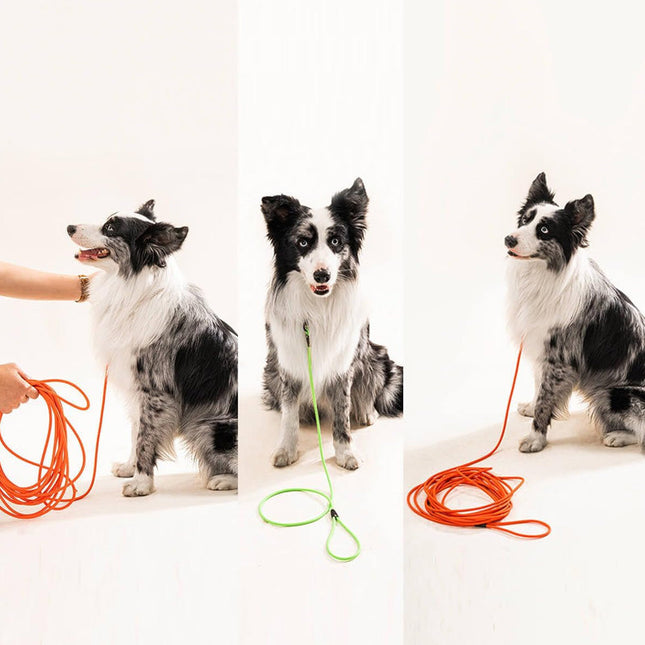 Waterdichte PVC Hondenlijn | Geurresistente & Gemakkelijk te Reinigen Riem | Voor Kleine tot Grote Honden | Beschikbaar in Diverse Lengtes | Zacht en Comfortabel | Anti-Knoop Design | Geschikt voor Alle Weersomstandigheden