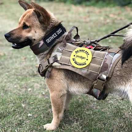 SafeTrek tactisch veiligheidsharnas voor honden | Duurzaam, verstelbaar hondenharnas voor comfort en veiligheid bij wandelen en outdoor avonturen | Geschikt voor alle rassen en maten
