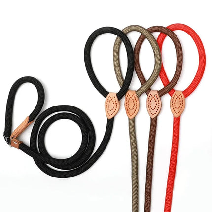 Nylon Slipkoord Hondentuig Zonder Halsband | Verstelbare Antitrekrain met Zacht Handvat | Voor Middelgrote en Grote Honden | Verkrijgbaar in Khaki Zwart Rood Blauw Koffie | Duurzaam Gevlochten voor Comfortabele Wandelervaring