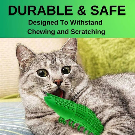 Kauwbaar Katten Speelgoed | Duurzaam Garnalenspeelgoed met Tandenreinigende Groeven | Inclusief Kattenkruidoptie voor Mentale Stimulatie | Bevordert Frisse Adem en Tandgezondheid voor Jouw Kat