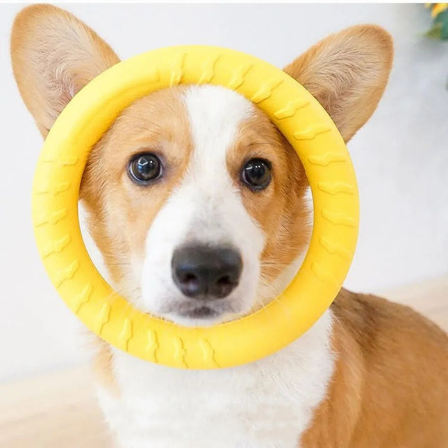 Duurzame Gele Kauwring Voor Honden | Interactief & Stimulerend | Verkrijgbaar in S en L | Rubber