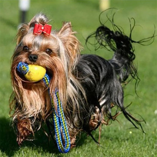 Rubberen Bal voor Honden | Interactief Speelgoed | Stevig en Veilig | Geschikt voor Alle Maten