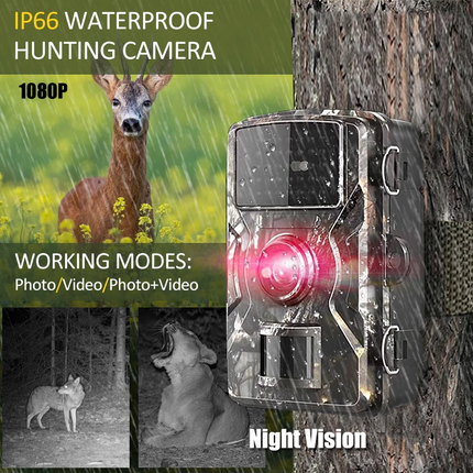 Sandsberg | Advanced Trail Camera | High Resolution | Fast Motion Detection | Excellent Night Vision | Robust | Waterproof IP66