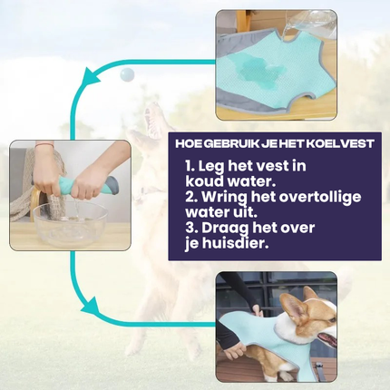 Honden Koelvest | Meerlaags Ontwerp | Verstelbare Pasvorm | Reflecterend | Bescherming Tegen Oververhitting | Oxford Koeldoek | Hemelsblauw/Grijs | Maten S-XL