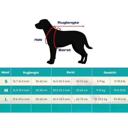 Honden Koelvest | Meerlaags Ontwerp | Verstelbare Pasvorm | Reflecterend | Bescherming Tegen Oververhitting | Oxford Koeldoek | Hemelsblauw/Grijs | Maten S-XL
