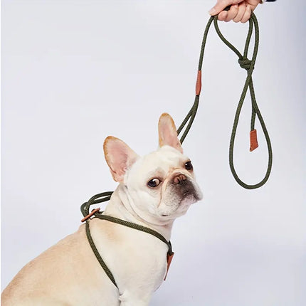 Geïntegreerd Hondenharnas | Verstelbare Nylon Leash | Outdoor Avonturen | Meerdere Kleur Opties