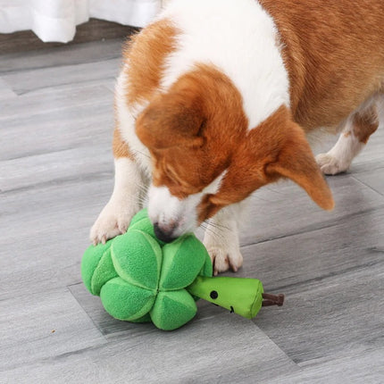 Interactief Snuffelspeelgoed voor Honden | Broccoli Vorm | Mentale Stimulatie | Vertraagt Eten | Duurzaam en Veilig | Makkelijk Schoonmaken | Uitdaging bij Snacktijd | Geschikt voor Alle Hondenmaten