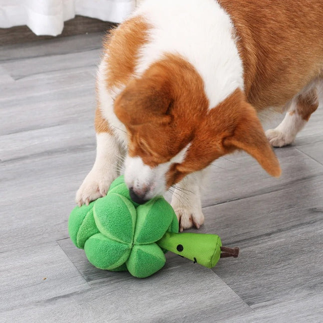 Interactief Snuffelspeelgoed voor Honden | Broccoli Vorm | Mentale Stimulatie | Vertraagt Eten | Duurzaam en Veilig | Makkelijk Schoonmaken | Uitdaging bij Snacktijd | Geschikt voor Alle Hondenmaten