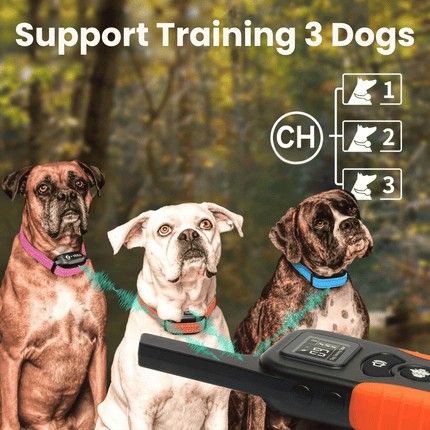 Obroża antyszczekowa BarkShield | Dźwięk i wibracje | Akumulatorowa i wodoodporna | Redukuje szczekanie | Dla wszystkich psów | Zasięg 975 m | Przyjazna dla zwierząt domowych obroża antyszczekowa | Regulowane dopasowanie | Odporna na wstrząsy