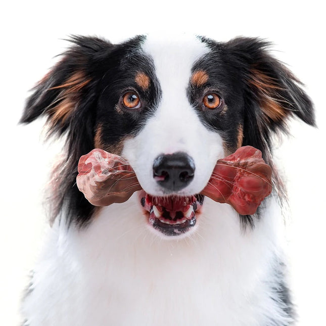Rubberen Kauwspeeltje voor Honden | Tandenborstelfunctie | Met Traktatiehouder | Voor Schone Tanden en Gezond Tandvlees | Rood | 15 cm