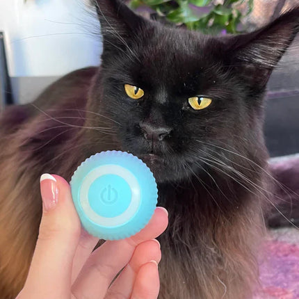 Aimee | Zelfrollend Speelgoedballetje voor Katten | Oplaadbaar Met LED-lichtjes | Veilig en Duurzaam