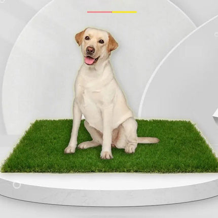 PawTurf hondentoilet | Lekvrije kunstgrasmat voor zindelijkheidstraining | Geschikt voor binnen en buiten | Duurzaam & makkelijk schoon te maken | Voor alle hondengroottes
