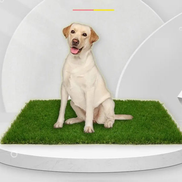 PawTurf hondentoilet | Lekvrije kunstgrasmat voor zindelijkheidstraining | Geschikt voor binnen en buiten | Duurzaam & makkelijk schoon te maken | Voor alle hondengroottes