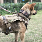 Camouflagekleur