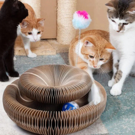 PetStory™ | Houdt Katten Actief en Bescherm Uw Meubels | Geschikt voor Alle Leeftijden en Maten | Duurzaam en Eenvoudig te Installeren