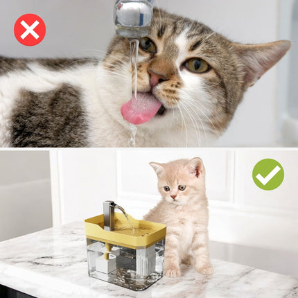 HydroPurr™ Drinkoplossing | Biedt Katten Gefilterd en Verfrissend Water | Ondersteunt Nierfunctie en Welzijn