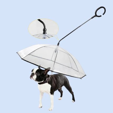 ClearPaws transparante hondenparaplu | Bescherming tegen regen en sneeuw | Eenvoudig te bevestigen aan hondenriem | Voor droge en comfortabele wandelingen