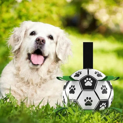 Duurzame Apporteerbal met Grijplipjes | Interactief Kauwspeelgoed voor Honden | Rubberen Voetbal voor Middelgrote en Grote Honden | Binnen- en Buitenplezier | Bevordert Gezond Gebit