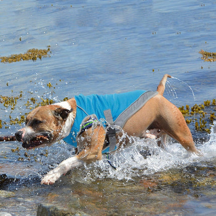 Verkoelend Hondenvest | Verstelbaar & Reflecterend | Hond Hittebescherming | Comfortabel Ademend Mesh | Harnasvriendelijk | Blauw & Regenboog | S-XXL