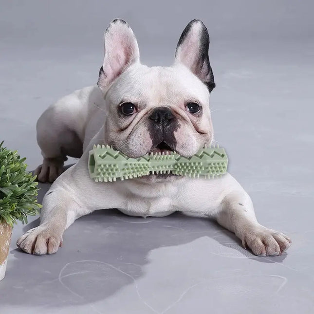 Duurzaam Rubberen Kauwspeeltje voor Honden | Effectieve Gebitsreiniging | Tandvleesmassage | Interactief Ontwerp | Verkrijgbaar in Blauw, Groen en Roze | Veilig en Stimulerend