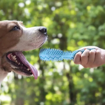 Duurzaam Rubberen Kauwspeeltje voor Honden | Effectieve Gebitsreiniging | Tandvleesmassage | Interactief Ontwerp | Verkrijgbaar in Blauw, Groen en Roze | Veilig en Stimulerend