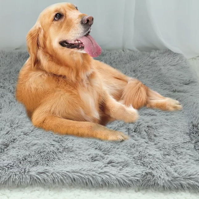 CozyNest ultrazachte huisdierdeken voor katten en honden | Wasbare pluche fleece | Comfortabel & duurzaam | Verschillende en | Voor bank, mand of vloer