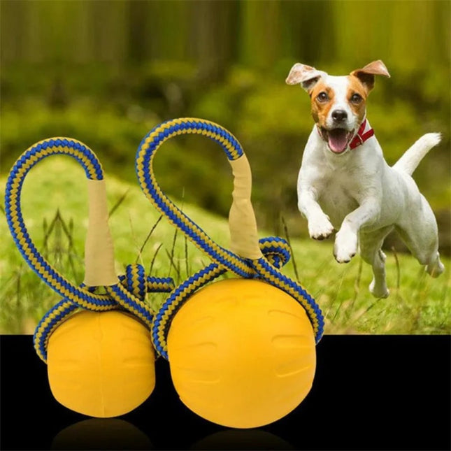 Rubberen Bal voor Honden | Interactief Speelgoed | Stevig en Veilig | Geschikt voor Alle Maten