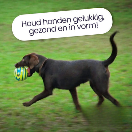 Giechelende Speelbal Voor Honden | Glow In The Dark | Duurzaam Kunststof | Voor Alle Hondenrassen | Geen Batterijen Nodig | Groene Interactieve Bal