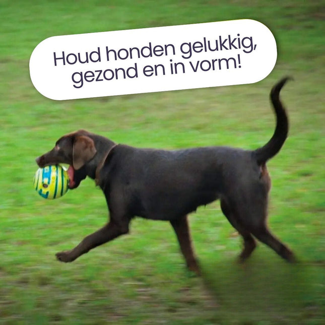 Giechelende Speelbal Voor Honden | Glow In The Dark | Duurzaam Kunststof | Voor Alle Hondenrassen | Geen Batterijen Nodig | Groene Interactieve Bal