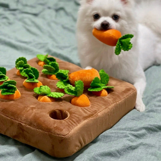 Interactieve Snuffelmat voor Honden | Wortel Verstop Speelgoed | 12 Vakjes | Snuffel- en Speurinstinct Verbetering | Pluche Fleece | Machinewasbaar