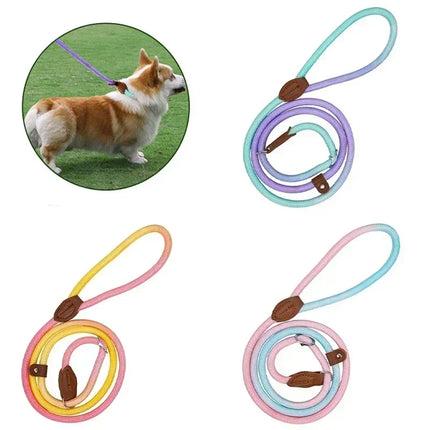 Kluwenvrije Nylon Hondenlijn | Ergonomische Grip | Duurzame Constructie | Geschikt voor Korte en Lange Wandelingen | Verkrijgbaar in Paars, Roze, Geel | Maten: S, M, L, XL | Modern Ontwerp