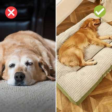 ComfyCanine™ | Orthopedisch Hondenbed voor Ondersteuning Wervelkolom | Krasbestendig en Gemakkelijk Schoon te Maken
