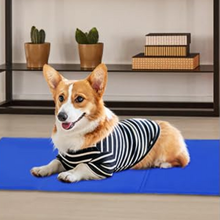 Draagbare Drukgeactiveerde Koelmat Huisdier | Zelfopladend & Lekvrij | Blauw | Maat L & XL