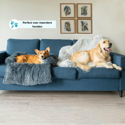 Buddy | Luxe Zachte Honden Deken | Slaapverbeteraar | Chemicaliënvrij | Veelzijdige Huisdecoratie