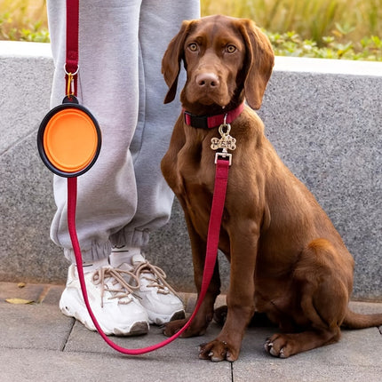 Opvouwbare voerbak voor honden en katten | Duurzaam TPR-rubber | Met karabijnhaak | Compact & lichtgewicht | Ideaal voor onderweg, reizen of wandelingen | Geschikt voor water en voer