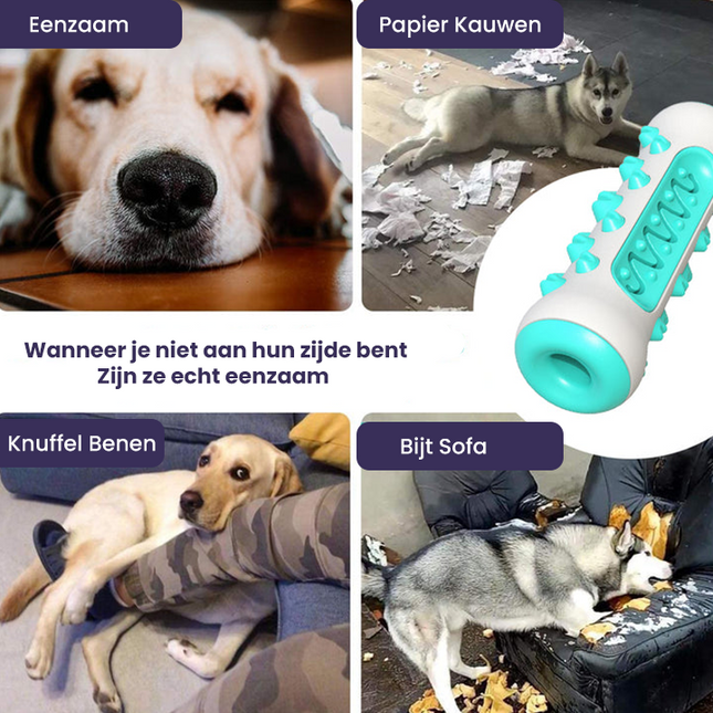 Kauwspeeltje voor Honden | Gebitsverzorging | Zacht Rubber | Limoen, Hemelsblauw, Geel | Verlicht Tandpijn bij Doorkomende Tandjes | Duurzaam en Veilig Speelgoed | 15CM