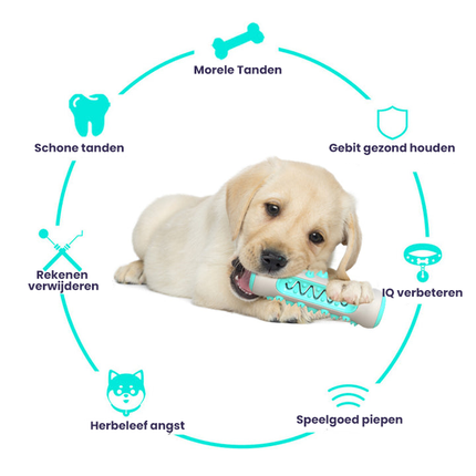 Kauwspeeltje voor Honden | Gebitsverzorging | Zacht Rubber | Limoen, Hemelsblauw, Geel | Verlicht Tandpijn bij Doorkomende Tandjes | Duurzaam en Veilig Speelgoed | 15CM