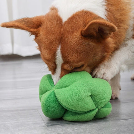 Interactief Snuffelspeelgoed voor Honden | Broccoli Vorm | Mentale Stimulatie | Vertraagt Eten | Duurzaam en Veilig | Makkelijk Schoonmaken | Uitdaging bij Snacktijd | Geschikt voor Alle Hondenmaten