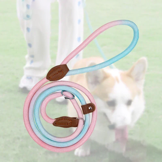 Kluwenvrije Nylon Hondenlijn | Ergonomische Grip | Duurzame Constructie | Geschikt voor Korte en Lange Wandelingen | Verkrijgbaar in Paars, Roze, Geel | Maten: S, M, L, XL | Modern Ontwerp