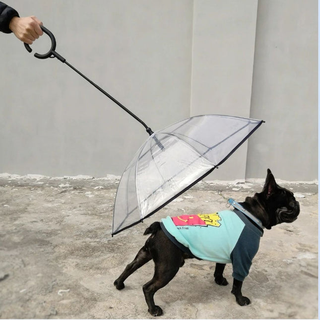 ClearPaws transparante hondenparaplu | Bescherming tegen regen en sneeuw | Eenvoudig te bevestigen aan hondenriem | Voor droge en comfortabele wandelingen