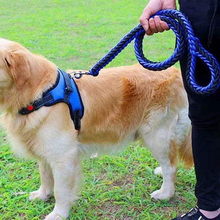 Duurzame Gevlochten Nylon Hondenlijn | Veilige Gesp | Meerdere Kleuren en Maten | Sterke Grip | Voor Middelgrote en Grote Honden