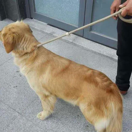 Nylon Slipkoord Hondentuig Zonder Halsband | Verstelbare Antitrekrain met Zacht Handvat | Voor Middelgrote en Grote Honden | Verkrijgbaar in Khaki Zwart Rood Blauw Koffie | Duurzaam Gevlochten voor Comfortabele Wandelervaring