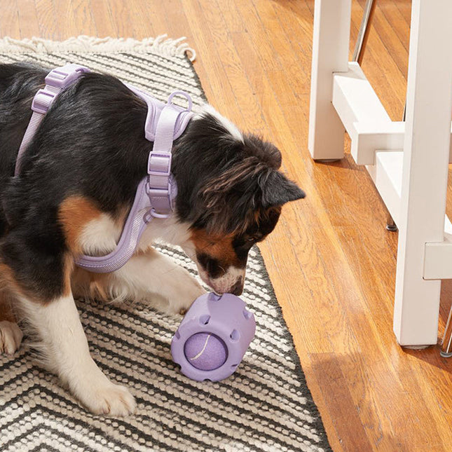 Interactief Honden Speelgoed | Duurzame Natuurrubber Bal | Perfect Voor Pupontwikkeling | Inclusief Tennisbal | Grootte Geschikt Voor Binnen En Buiten Gebruik