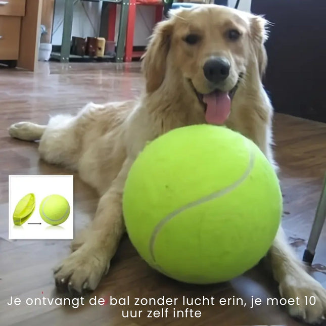 Grote Hondenbal | Interactief Speelplezier | Duurzaam Rubber | Mentale & Fysieke Stimulatie | Voor Binnen & Buiten | Binding met Huisdier